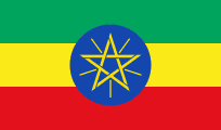 Ethiopian Newspapers